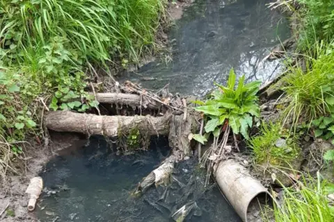 Malcolm Burn The water in the letch is grey and cloudy. Greenery borders the stream. A pile of logs across the body of water appears to have trapped some wet wipes.