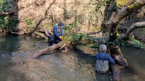 Two men are in a river sawing part of a fallen tree apart. One man is up to his waist in the water and wearing waders. The other is wielding the saw further out the water closer to the bank.