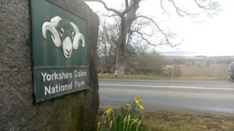LDRS A large stone at the roadside displays a sign for the Yorkshire Dales National Park, featuring a stylised ram’s head above the park name; yellow daffodils bloom in the foreground, with a road, a parked car, bare trees and rolling hills in the background.
