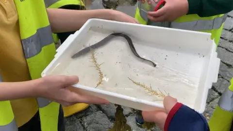 A close up of children holding a white container which has an eel swimming inside of it.