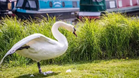 Loco Rob Barton under Needwood