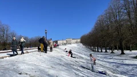 Pacemaker Enjoying the snow at Stromont