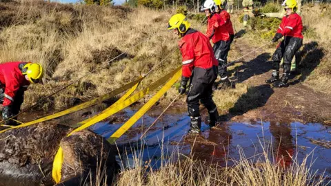 Firefighters pulling the horse out of the flooded marshland with straps. They are wearing full uniform, including yellow helmets.