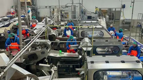 Men and women in blue overalls process fish in a factory