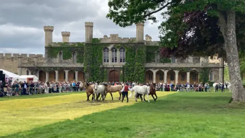 Horses run about on a green lawn in front of a castle, where crowds have gathered.