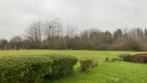 Picture of the site for the proposed development. It's a green, grassy field, with some hedgerow in the foreground. On the horizon there's a line of trees, some of which are deciduous and have lost their leaves for the winter. The sky is grey and overcast, contrasting with the bright green of the field. 