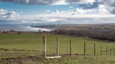 New wooden fencing being placed at the green field. The sea and the beach are visible in the distance.