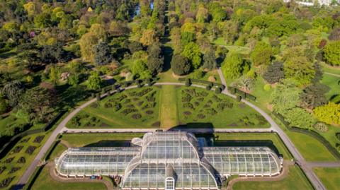 Kew Gardens aerial