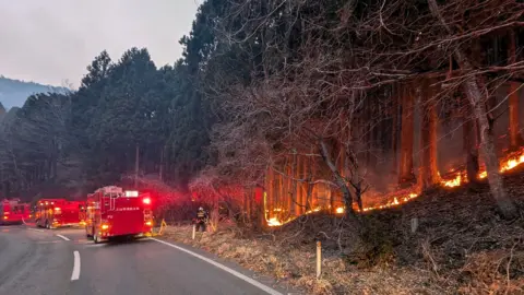  Firefighters battle a wildfire in Ofunato, Iwate prefecture, northeastern Japan,