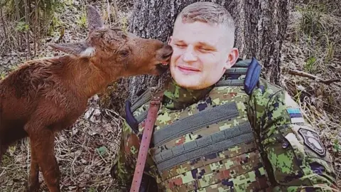 Estonia Defence Ministry The lost moose calf licks an Estonian soldier
