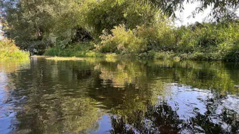 The picture shows the River Pang reflecting the trees and shrubs that line its banks.