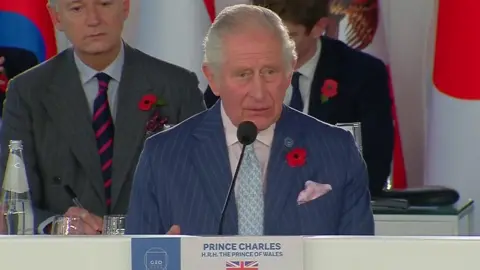 Prince Charles at the G20 summit