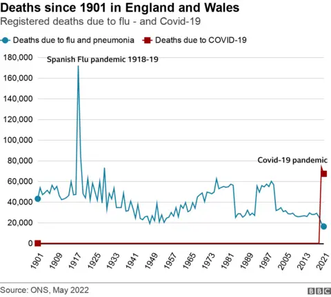 Flu and Covid deaths