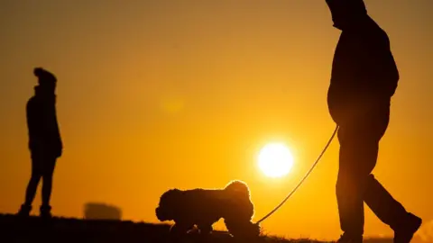 PA Media A photo of a dog