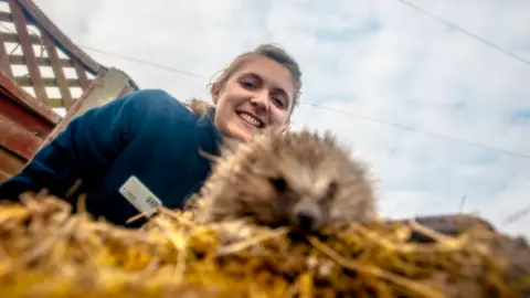 John Ferguson Ali North and hedgehog