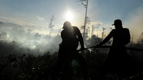 Getty Images Men cutting down forest in Indonesia