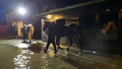 Horse walking through flood water