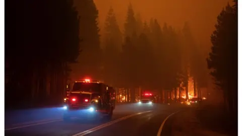 Getty Images Forest fire