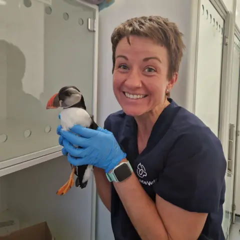 Wallace Vets A woman with short hair wearing a dark blue tunic with rubber gloves on holding a small puffin. 