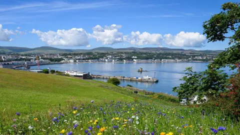 Manx Scenes There is a hillside field of grass with wild flowers in the foreground, looking out over Douglas bay. You can see a stone pier with a ferry alongside it, the Tower of Refuge monument in the calm waters, and the Douglas promenade coastline below rolling hills, and some scattered clouds on a sunny day.