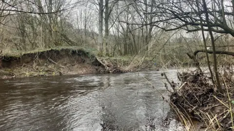 Photograph of the River Goyt at Woodbank Park in Stockport. The image shows the riverbank and trees next to the swollen water.
