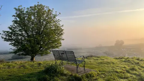 A view of the Malvern Hills, showing a bench next to a tree, which is perched on top of a hill on a misty morning. 