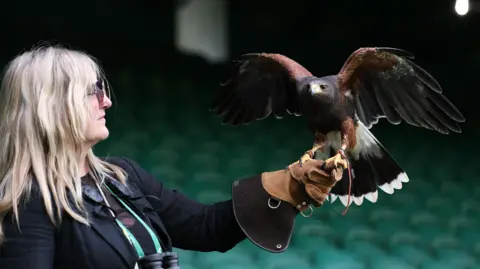 Neil Hall/EPA/Shutterstock Donna Davis at the All England Club in Wimbledon, holding a Harris's hawk on her left hand, which is wearing a leather gauntlet. The brown hawk is sitting on the glove with its wings outstretched and its dark white-tipped tail feathers behind. Davis has long blonde hair and is wearing a black jacket and dark glasses. Behind them are rows and rows of green stadium seats. 29 June 2026.