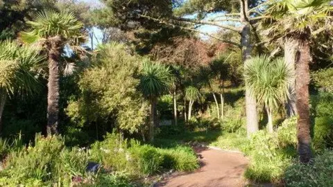 A path winds up a slope through tropical trees and shrubs which are bathed in sunlight.