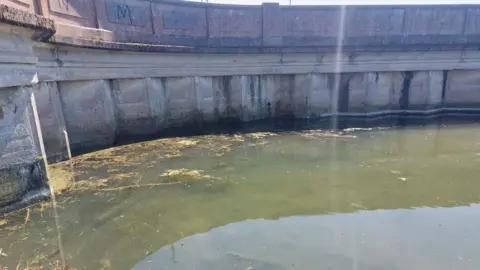 Dorset Council Green murky water with concrete wall sweeping round its edge - it is a sunny day.