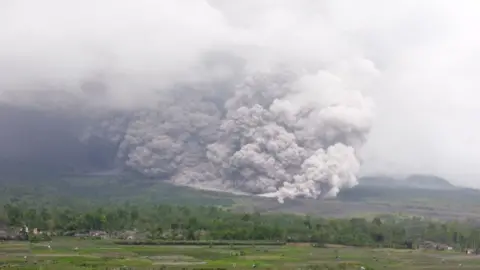 Indonesia's Semeru volcano erupts