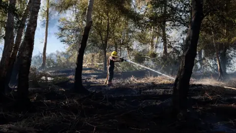 Cambridgeshire Fire and Rescue Service A firefighter is standing in the middle of a woodland which has been affected by a fire. They are holding a hose over their shoulder and pointing it towards the peatland. 