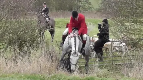 Hertfordshire Hunt Saboteurs A person wearing all black sits on a fence as a horse and its rider jump a gate in a field. Another person is on the floor under the horse as hounds and another horse rider stand in the background