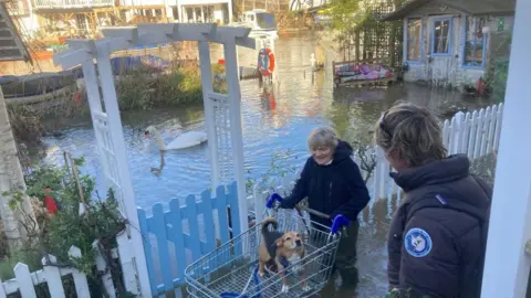 A resident with a pet dog in a shopping trolley, surrounded by floodwaters, Sunbury-on-Thames, Surrey, England, UK on 09 January 2024