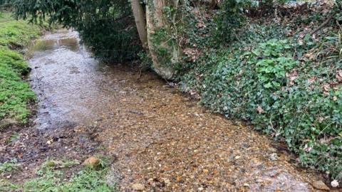 River Gaywood in Grimston