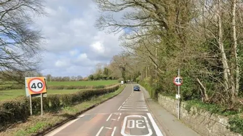 Speed limit signs on the A528 road in Ellesmere. There are 40mph speed limit signs on both sides, and there is a 30mph sign painted in white on the road. There are also chevrons on the road at this point, where the speed limit changes. There are field to one side and woodland on the other, with a pavement and a wall.