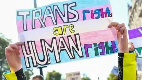 An image of two hands holding either side of a placard which reads TRANS RIGHTS ARE HUMAN RIGHT, on a blue, pink and white background