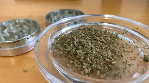 Medicinal cannabis in a grinder