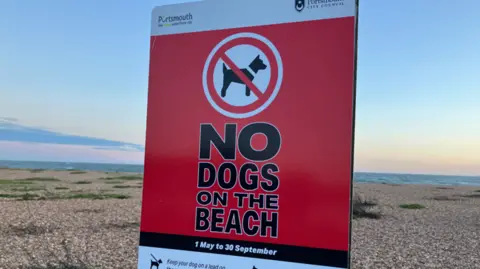 A red sign says 'No dogs on the beach' with a pebble beach in the background and sea in the distance