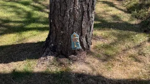 A picture of a small blue door on the front of a tree. It has the letter L on it.