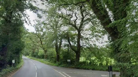 A country road with trees on either side and a turning towards a village on the right, with fields glimpsed through some branches