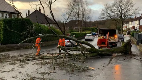 Oliver Wright - BBC A fallen tree