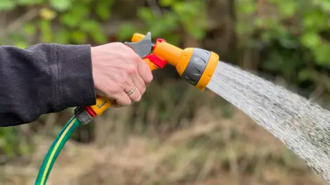 Chris Gurney/BBC A hand holds an orange sprinkler with a green and yellow hose, which is spraying water out onto a garden.