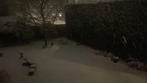 A snow covered garden