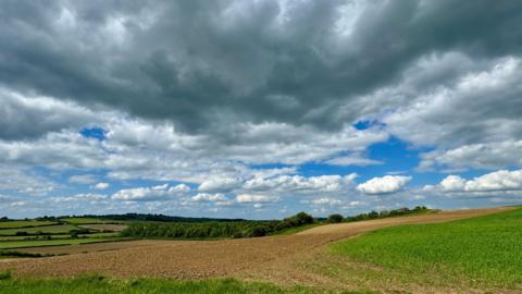 Fields with imposing clouds above