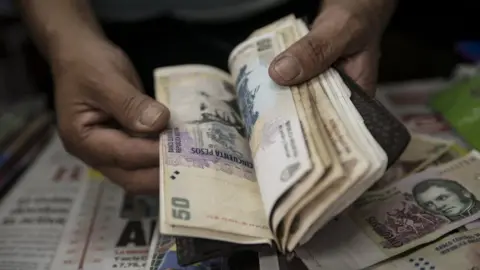 AFP A newsstand owner counts Argentine pesos bills in Buenos Aires on January 24, 2014.