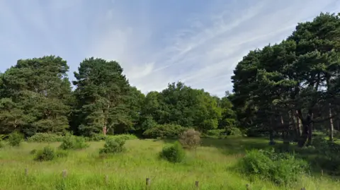 Google Mousehold Heath is on the edge of Norwich in Norfolk.