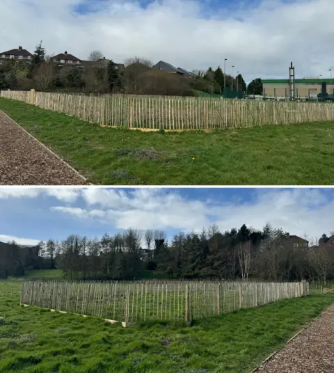 community gardens lower botanic gardens
