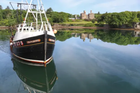 Wildswimmer Stornoway harbour this morning