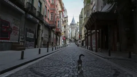 EPA A cat walks in a empty street in Istanbul