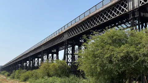 A sideways view of the Bennerley Viaduct, a tall, metallic structure surrounded by woodland.